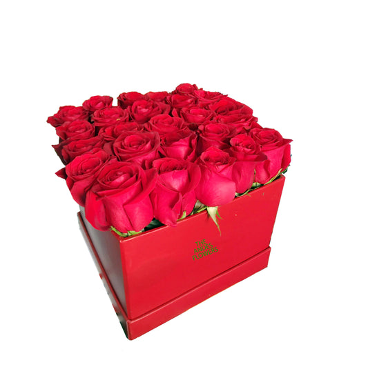 Rosas Premium Box cubo